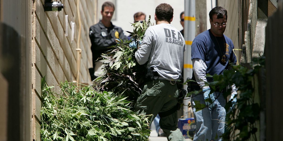 San Francisco to Absolve Thousands of Weed Convictions