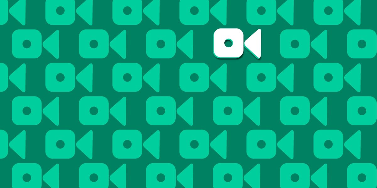 12 Vines It S Impossible To Live Without 12 Vines It S Impossible To Live Without