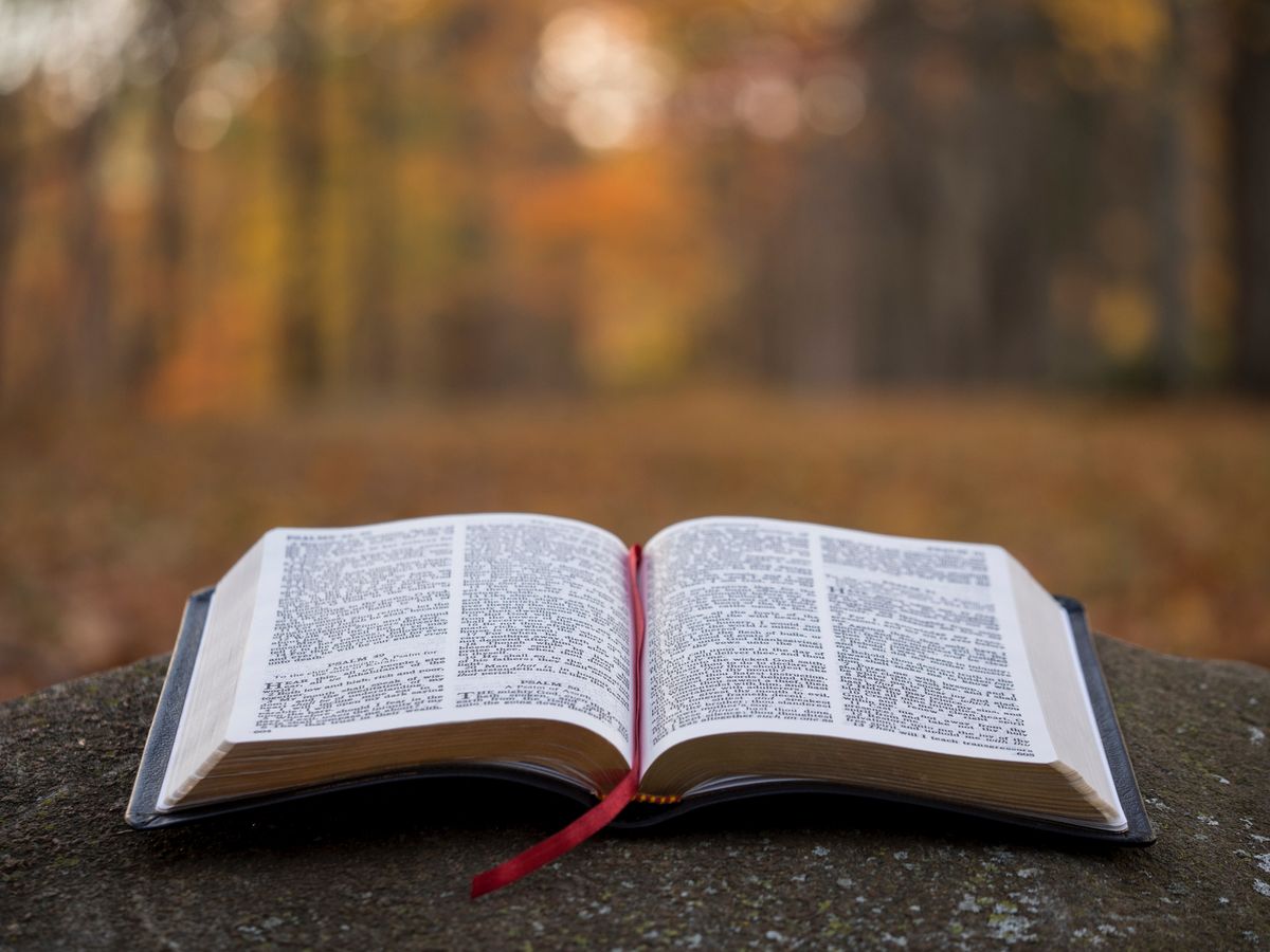 8 Bible Verses To Read If You Need Lifting Up