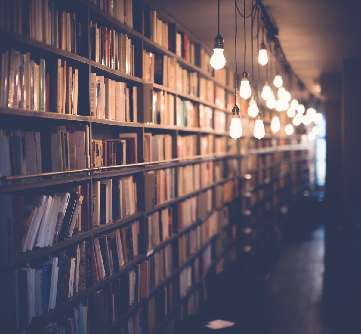 The Curious Case Of The Disappearance Of The Standalone Novels