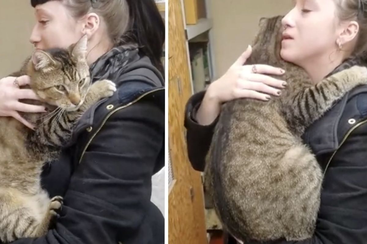 Couple Went to Visit Cats and One of Them Clutched onto the Woman and Wouldn't Let Go.