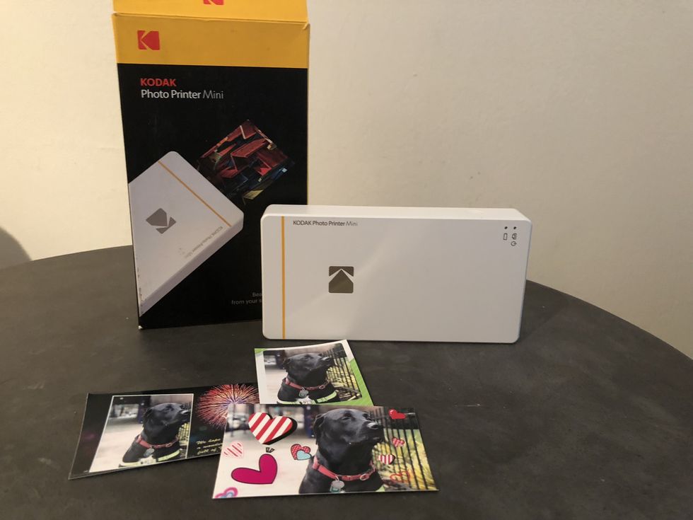 Photo of the Kodak Photo Printer, with photos of a dog printed off the device