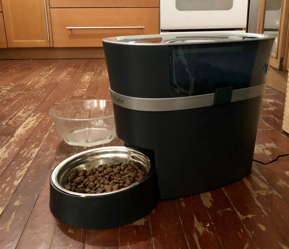 Review PetSafe Smart Feed is reliable but definitely pricey Gearbrain