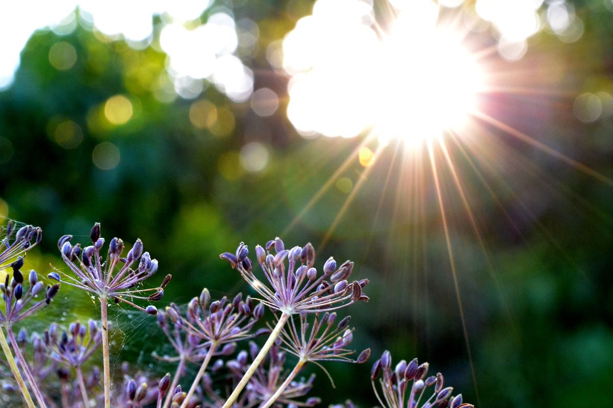 15 Things You Should Do For Lent This Season