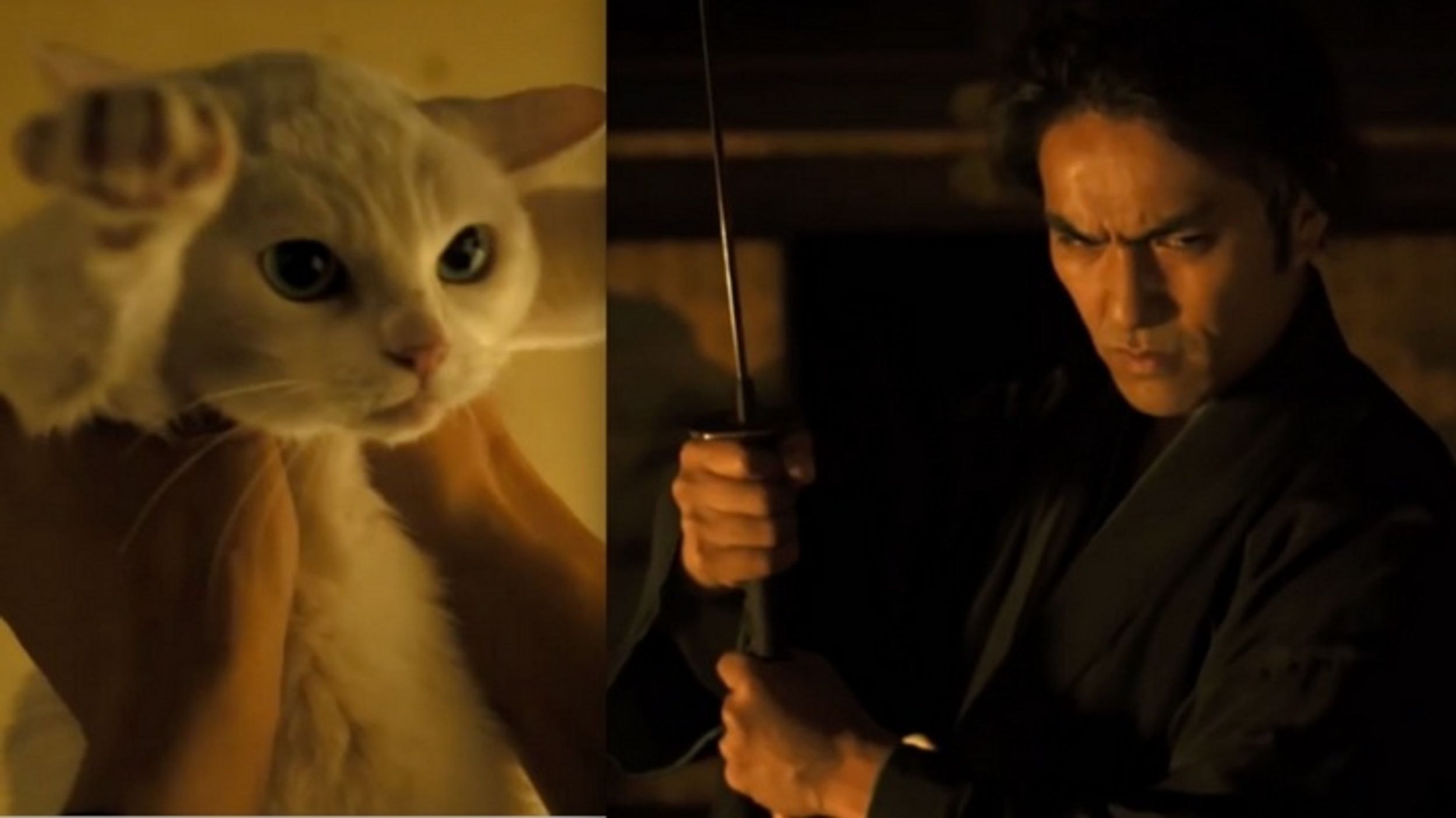 The 2014 Japanese Film 'Samurai Cat' Continues Stealing Hearts & Creates More Intrigue on Twitter