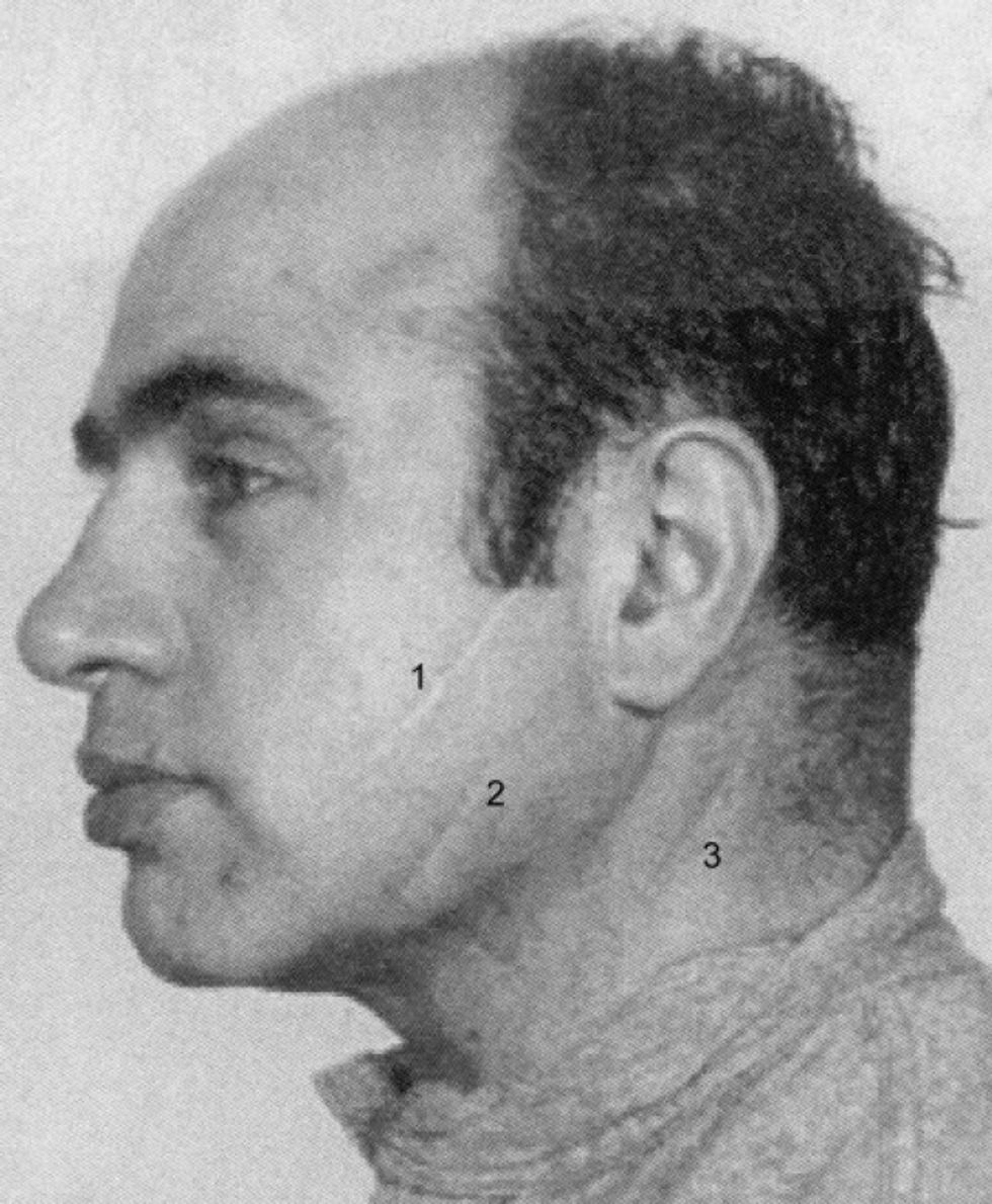 The Notorious Scarface How Al Capone Came To Be