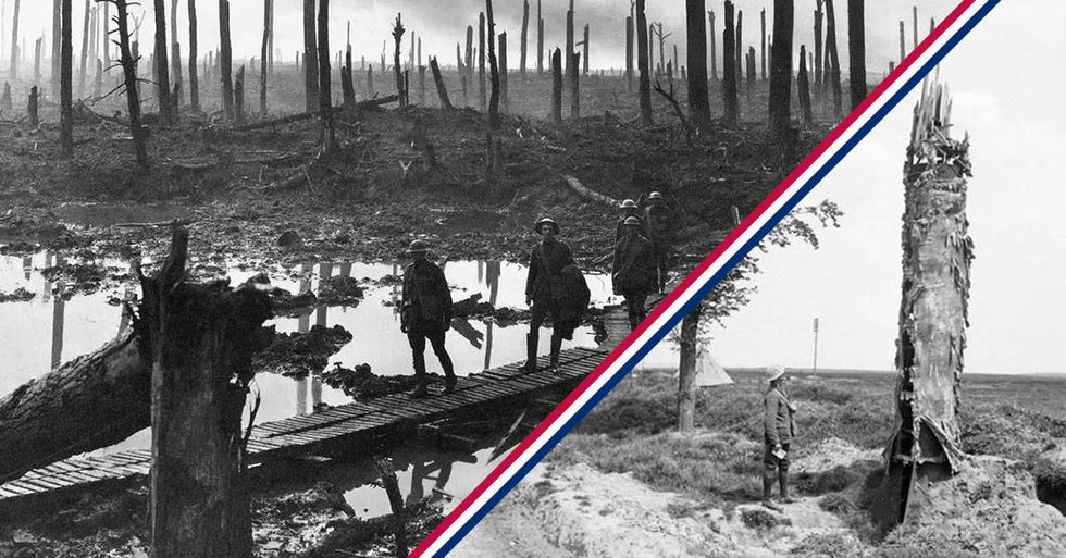 The British and Germans built these deadly hollowedout trees in WWI