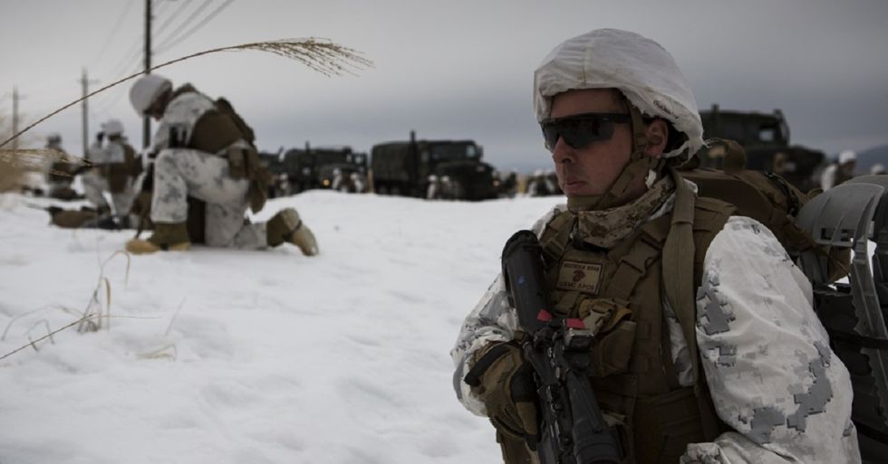 The fascinating beginning of the term 'grunt' Americas Military