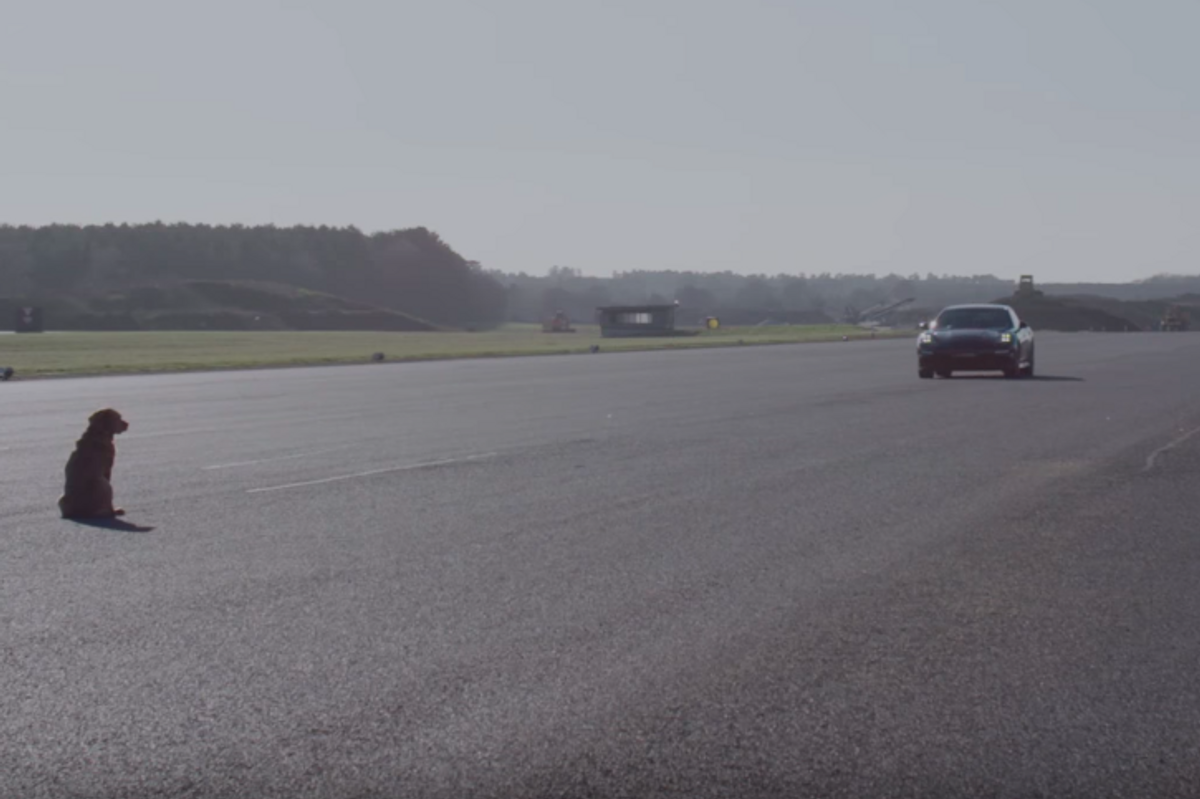 Watch Huawei drive a car at a dog to show off its smartphone AI