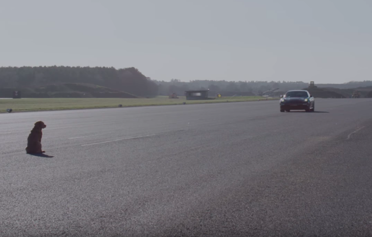 Watch Huawei drive a car at a dog to show off its smartphone AI