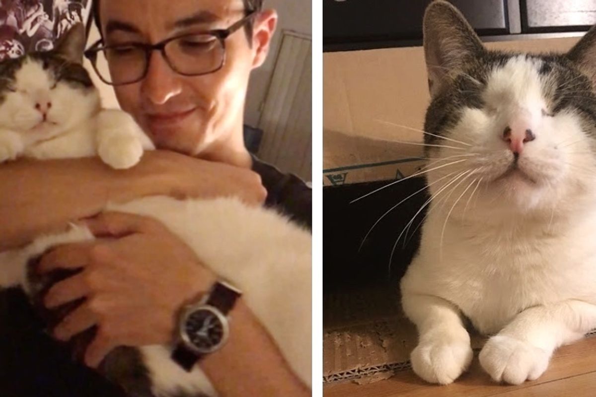 Cat Born Without Normal Eyes, Met a Couple He Loves - They Couldn't Stop Thinking About Him.
