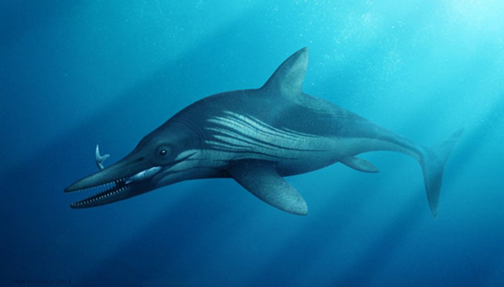 ichthyosaurus dinosaur