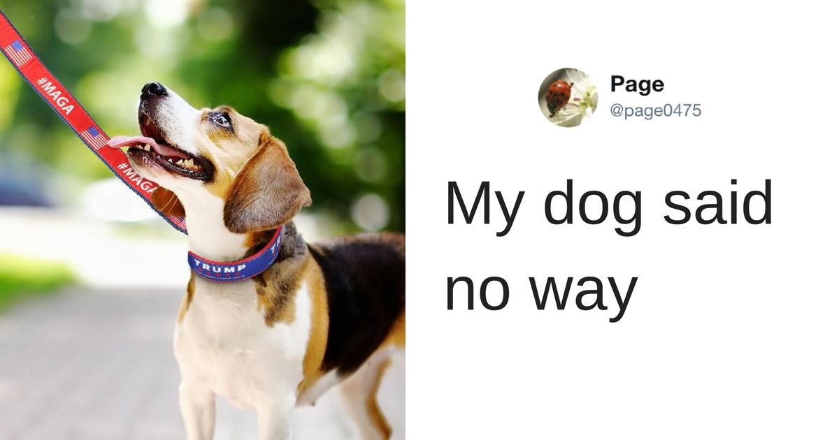 The RNC Tried to Sell a Trump Leash for National Puppy Day—It Didn't Go Well