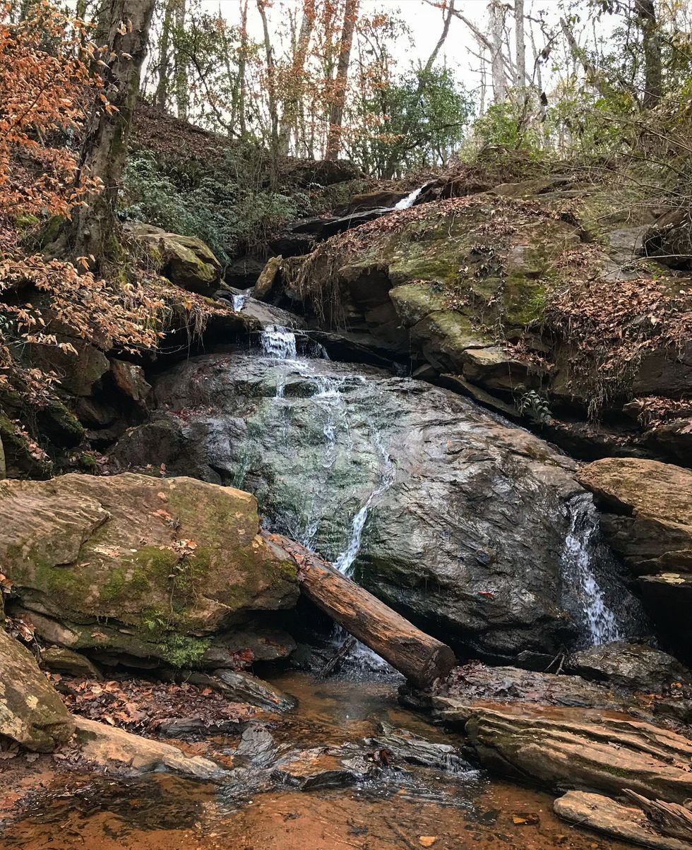 10 Best Hiking Trails Around Clemson For Those Looking For Experiences ...