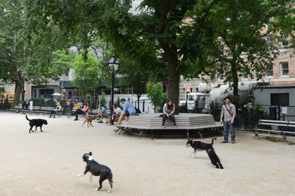 NYC dog runs and parks - Topdust