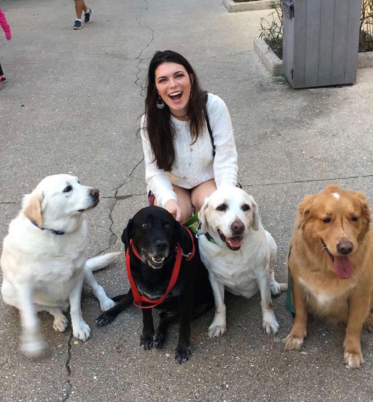 7 Reasons I Should Have A Dog @Mom @Dad