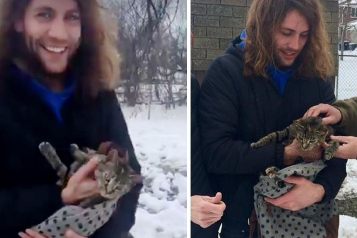 Man Came to Save Cat Stranded in Tall Tree After No One Responded for 9 Days.