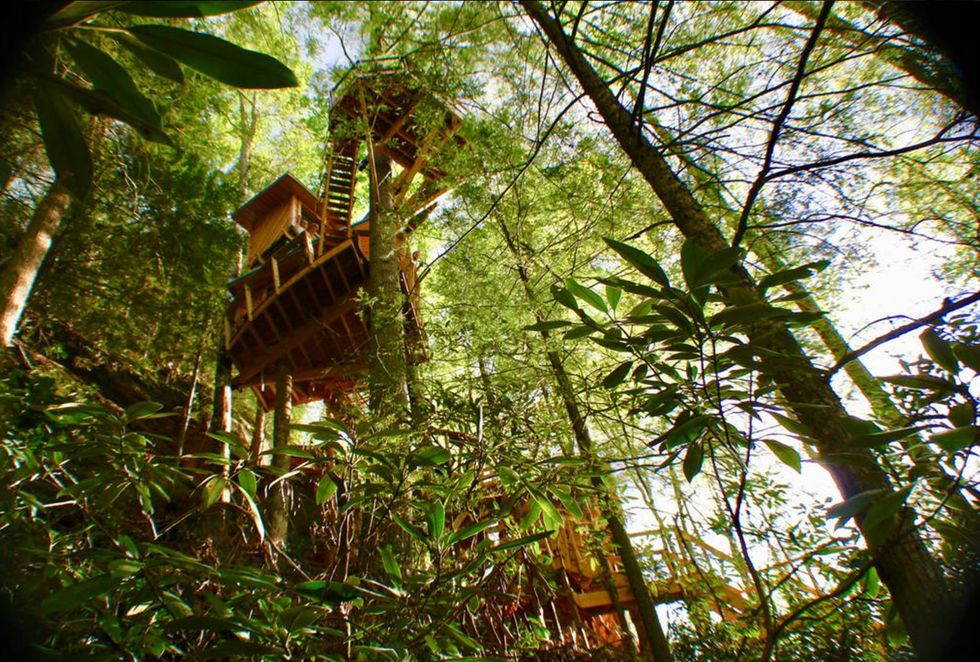 Look inside the stunning treehouse that every Southerner should visit