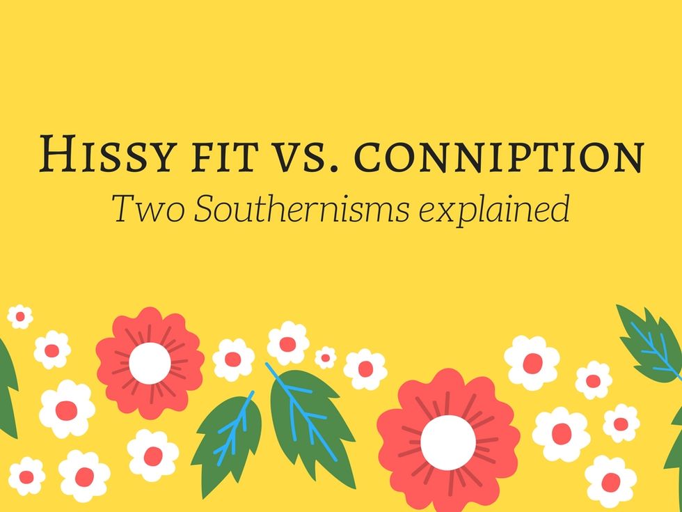 Hissy vs. conniption fit: The difference in these Southernisms