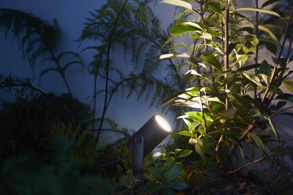 Photo of a garden at night with philips hue smart lights.