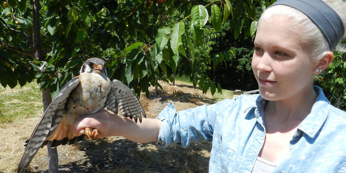 Protecting crops with predators instead of poisons