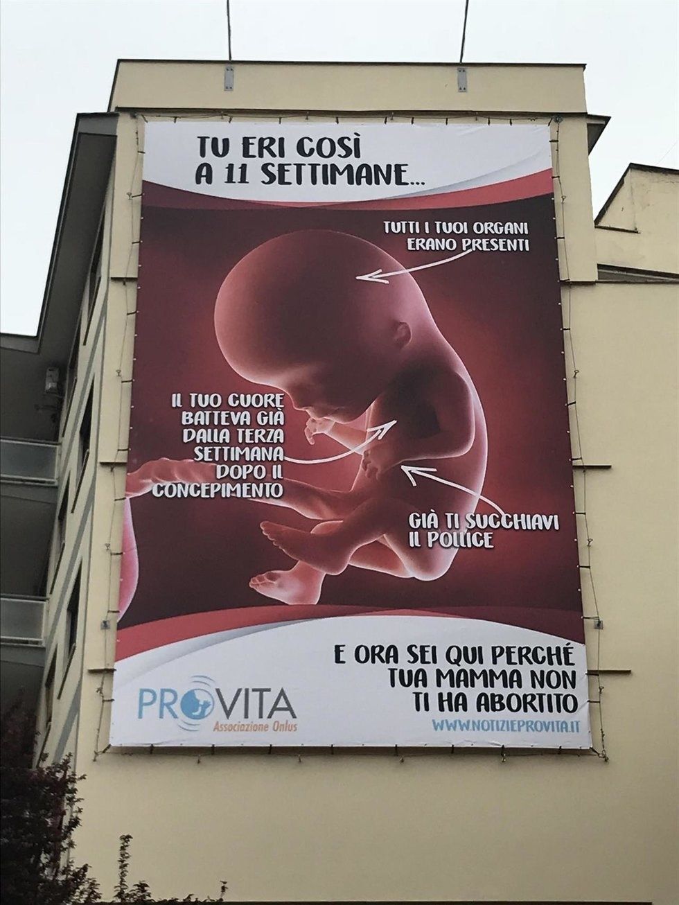 «Vorrei che l’aborto fosse illegale e che lo Stato tutelasse la madre»
