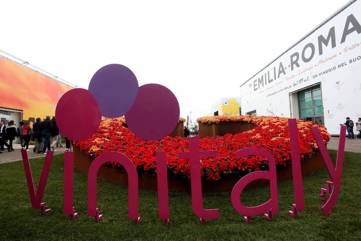 Al Vinitaly si celebra il Sassicaia, il rosso che stupì anche i francesi