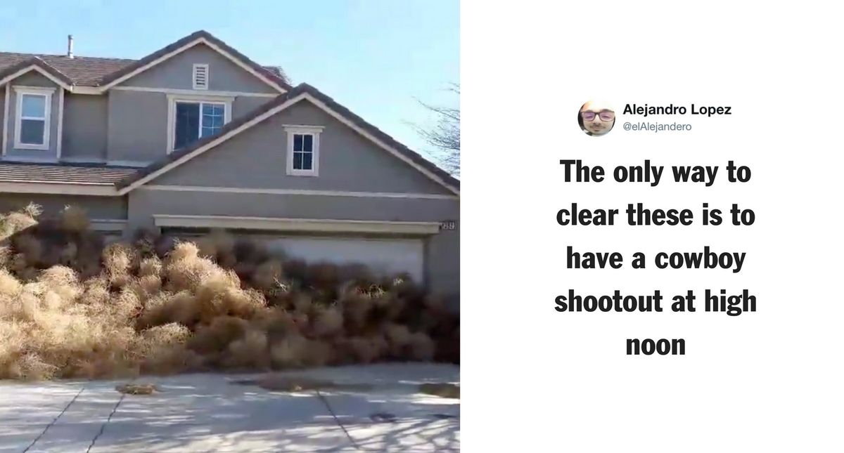 Huge Accumulation of Tumbleweeds Overwhelm Victorville in California Due to High Winds