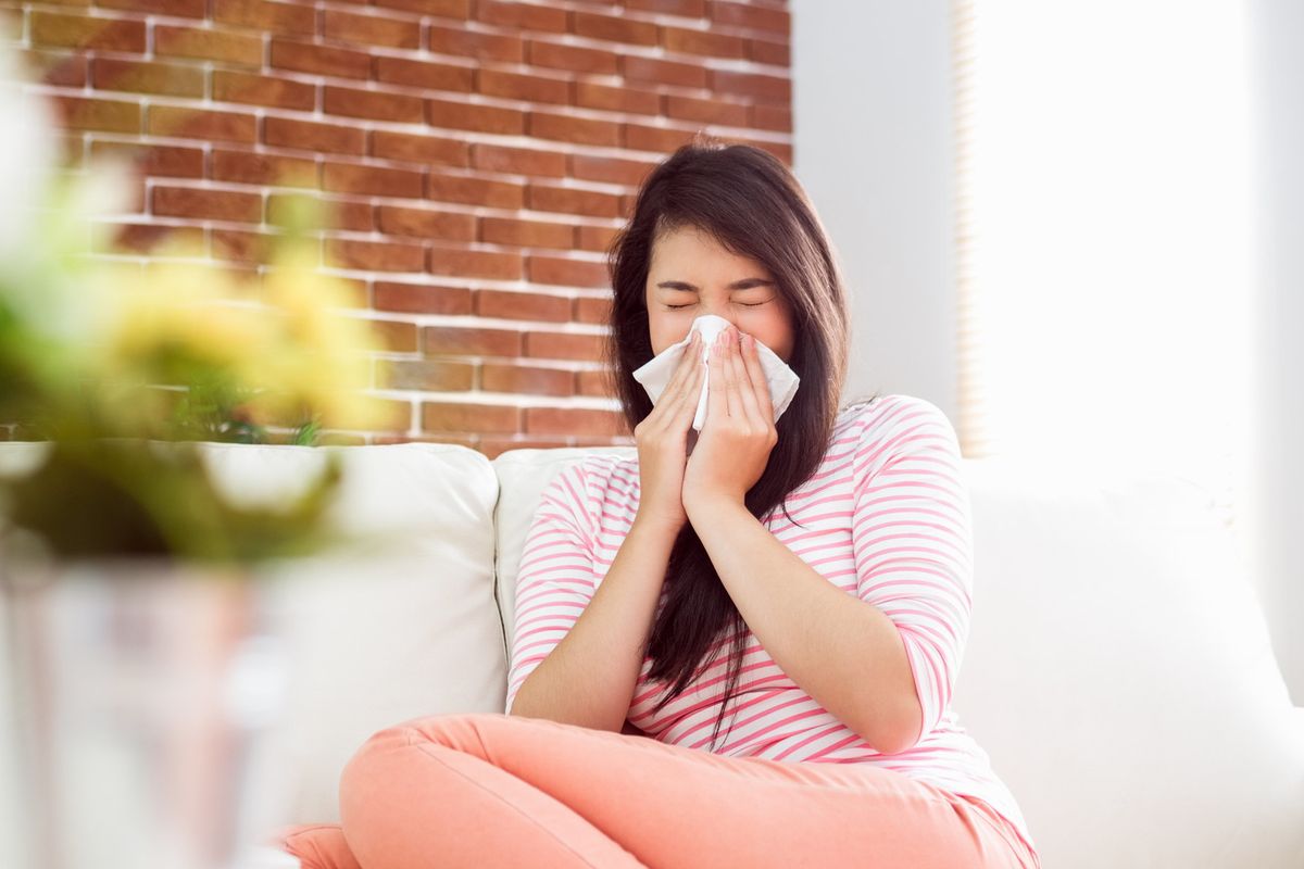 How to combat hay fever and summer allergies with your smart home