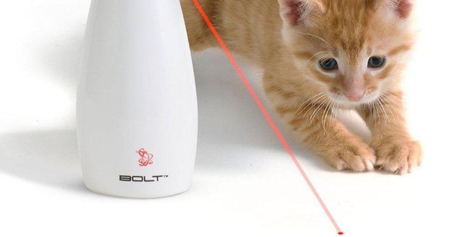 FroliCat automatic laser toy will have your cat in a tailspin