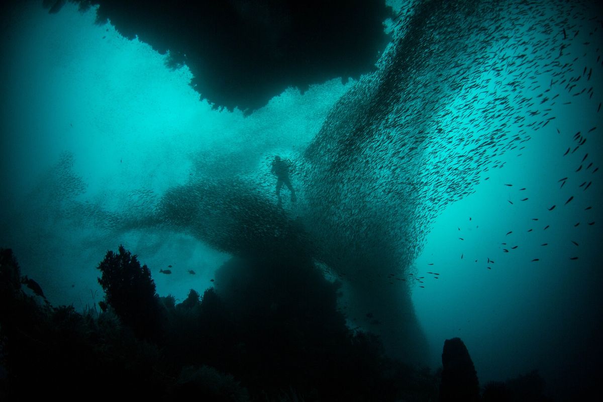 Poetry on the Odyssey: Underwater