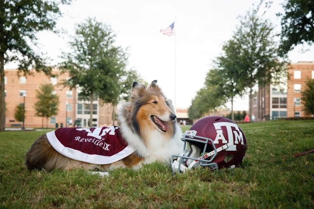 Texas A&M Has Named Their First Ever Female Mascot Corporal And I'm So For It