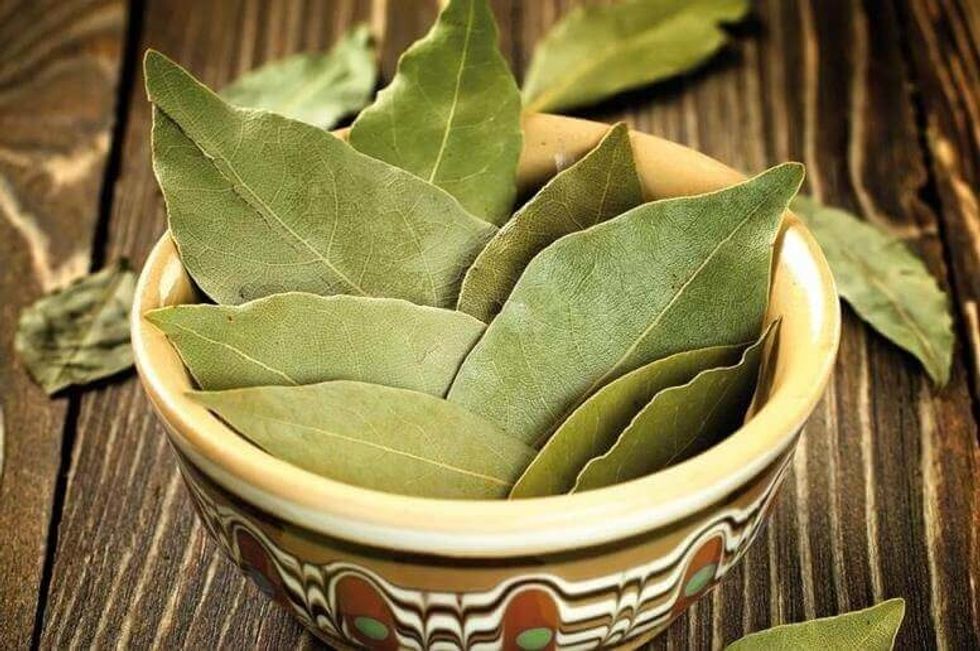 Essential Spices Bay Leaves