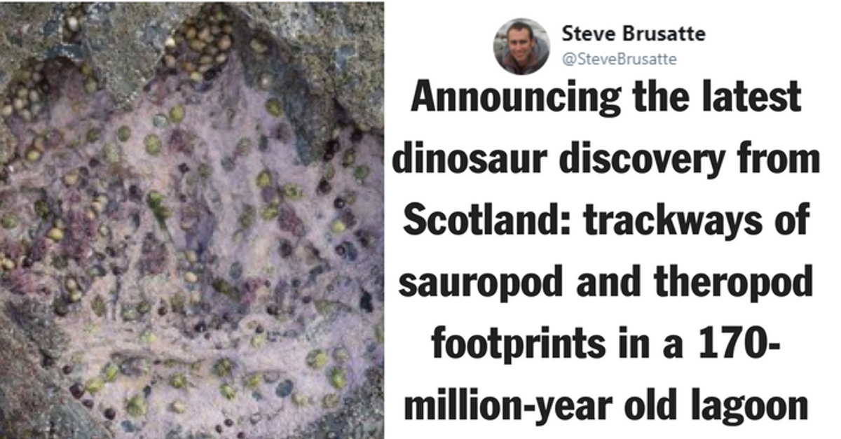 Rare Middle Jurassic Era Dinosaur Footprints Discovered on Scotland's Isle of Skye