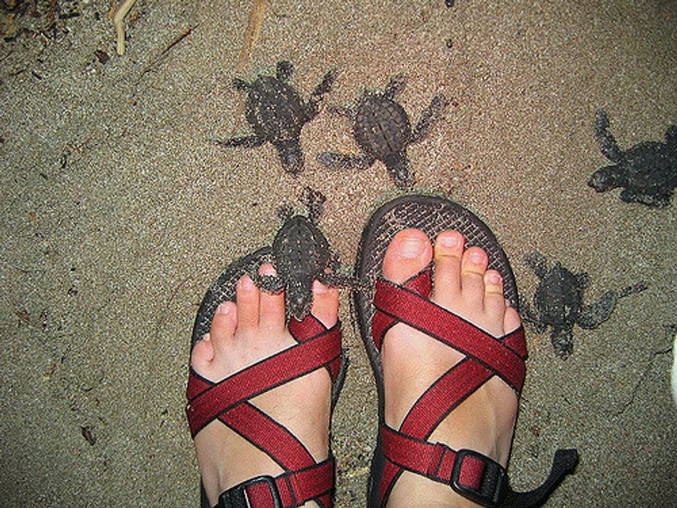 chacos on people's feet