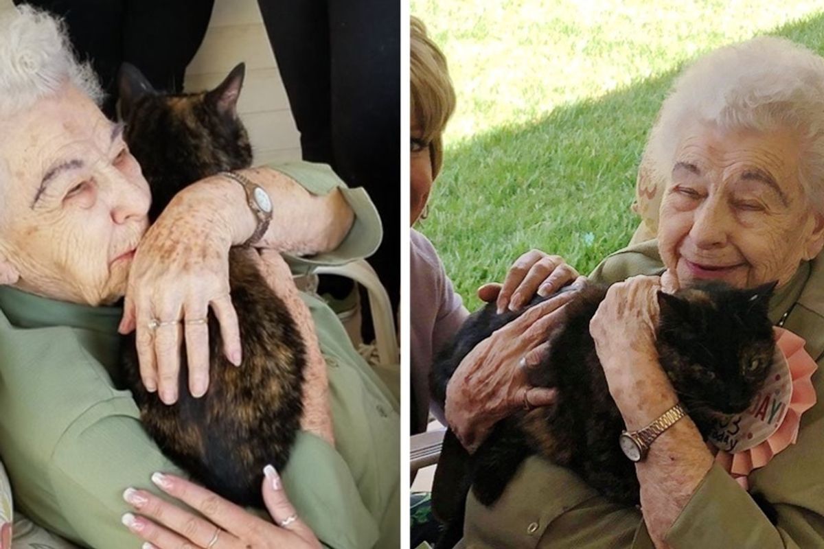 103-year-old Woman Finds Her Perfect Companion After the Loss of Her Beloved Cat.