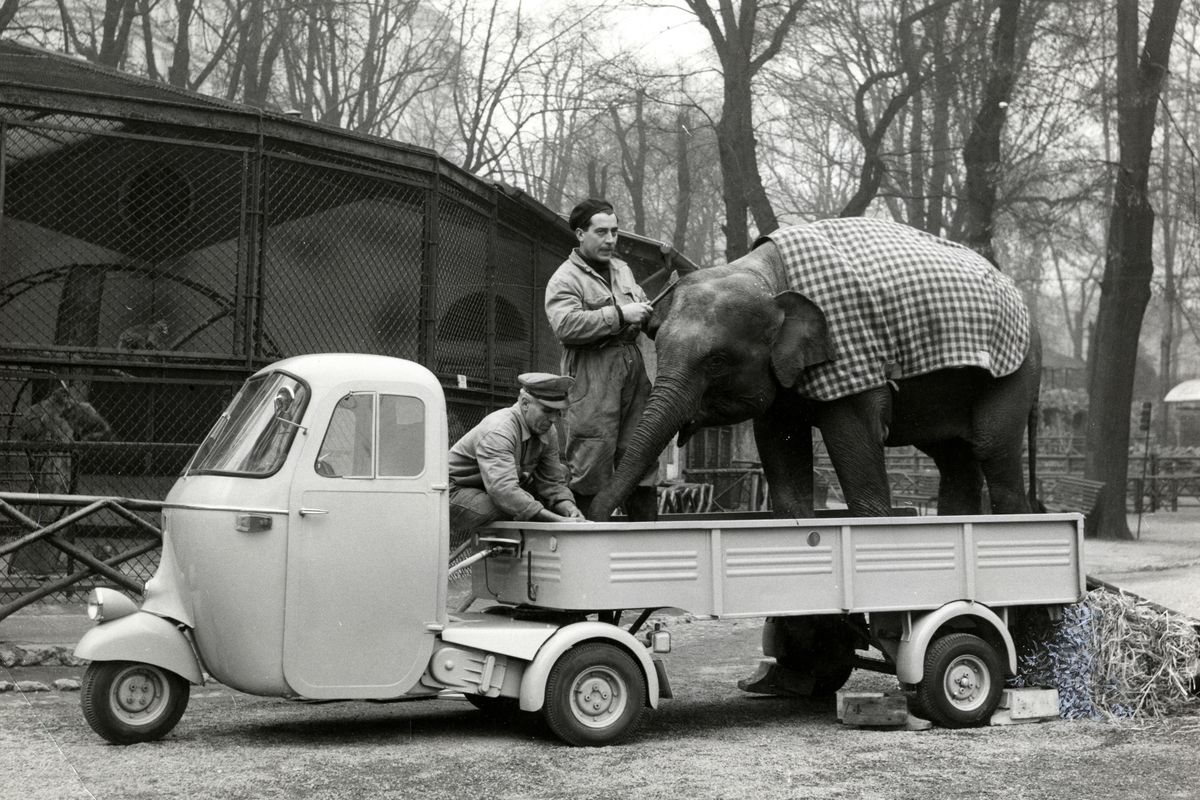 La terza vita dell'Ape Piaggio. Dopo il boom del dopoguerra e la crescita in Asia ora vuole spostare le Piramidi