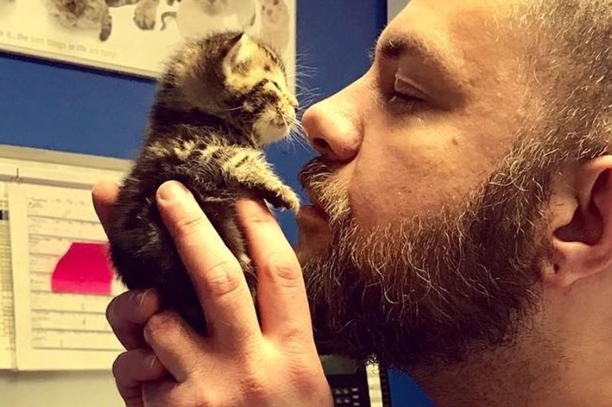 Orphaned Kittens Found in Street Think This Bearded Guy is Their Mom