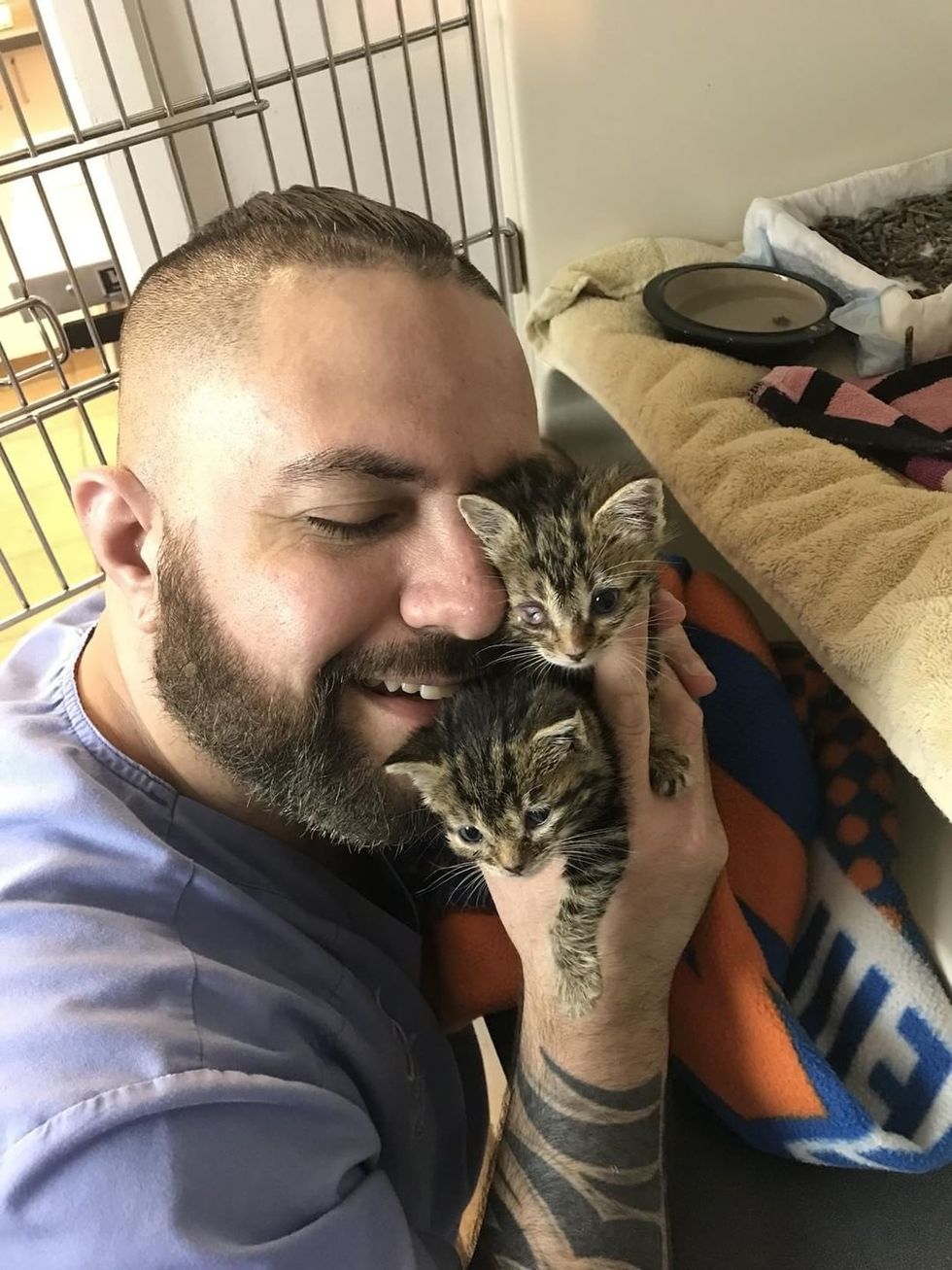 Orphaned Kittens Found in Street Think This Bearded Guy is Their Mom ...