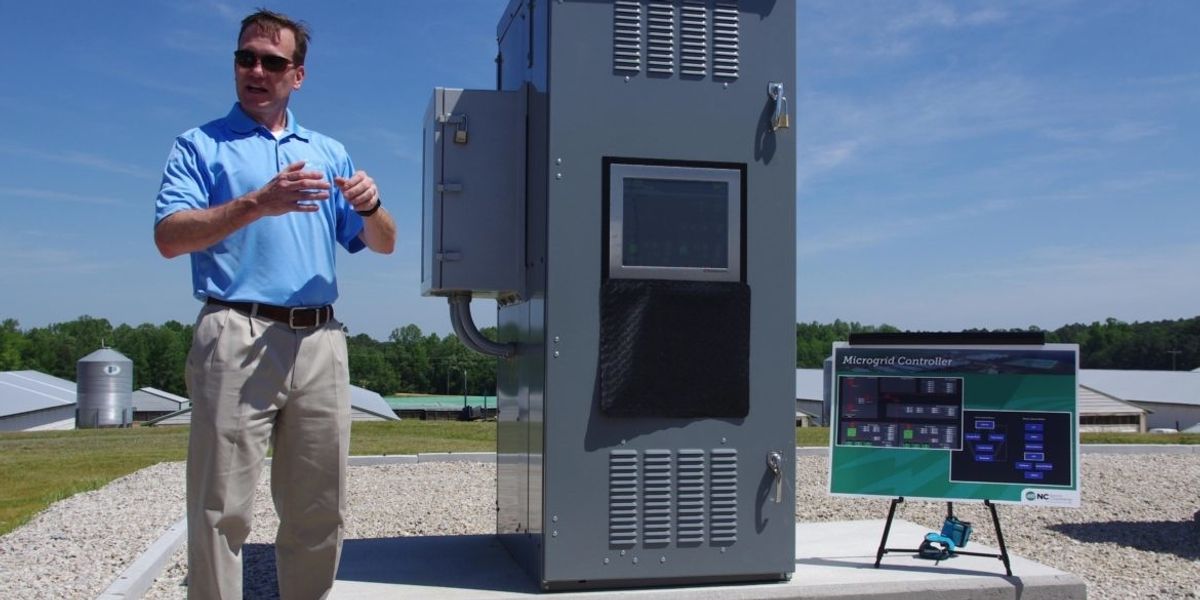 Biogas microgrids could reduce odors and outages for hog farm neighbors