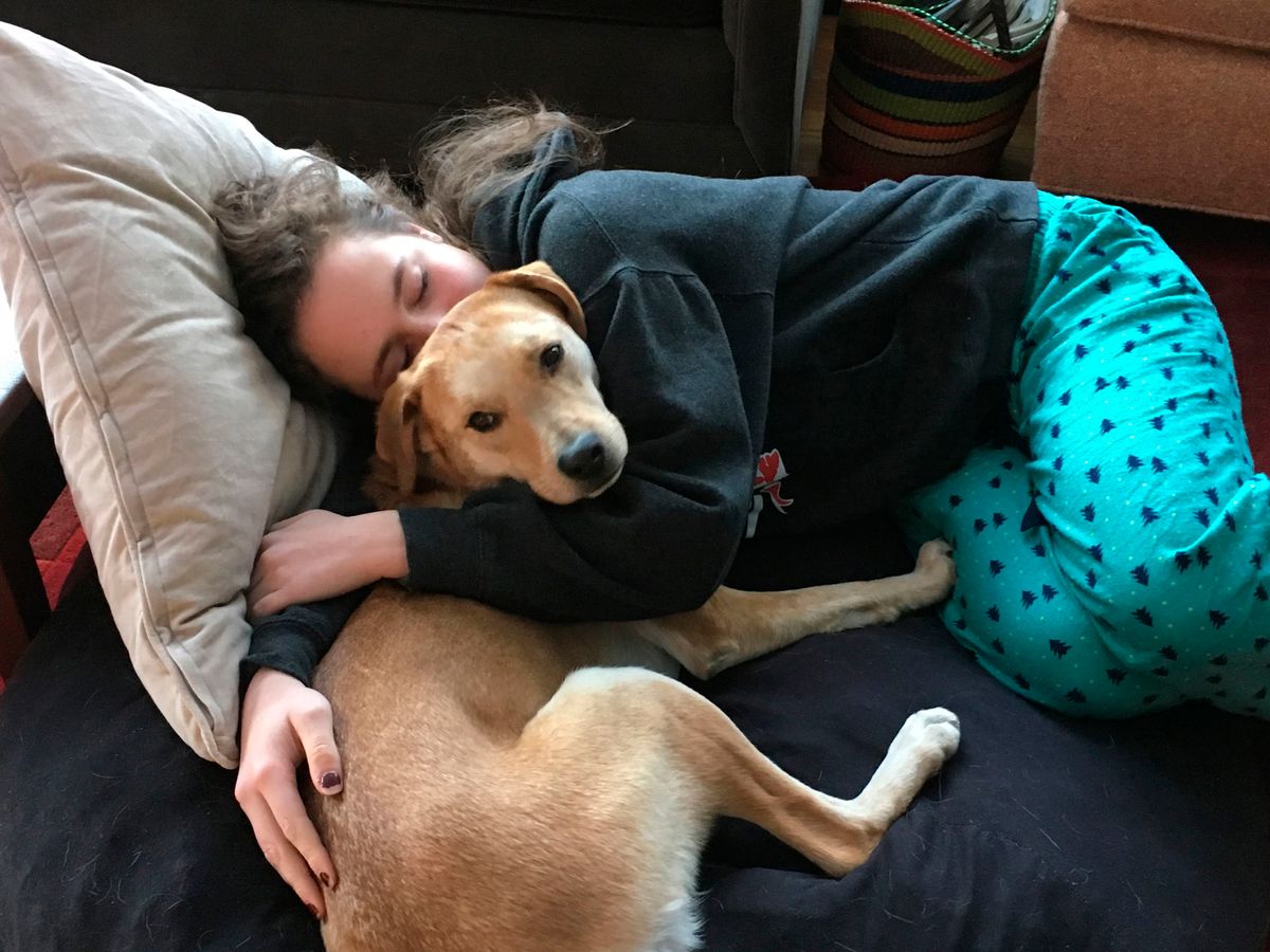 New Study Finds Reasons Why Sleeping With Your Dog Is Bad For You