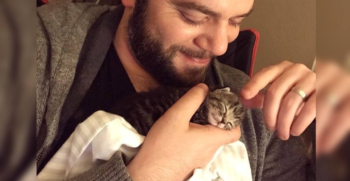 Worker Heard Kitten Meows Coming From Packaging Box and Found Tiny Kitty In Need of Love