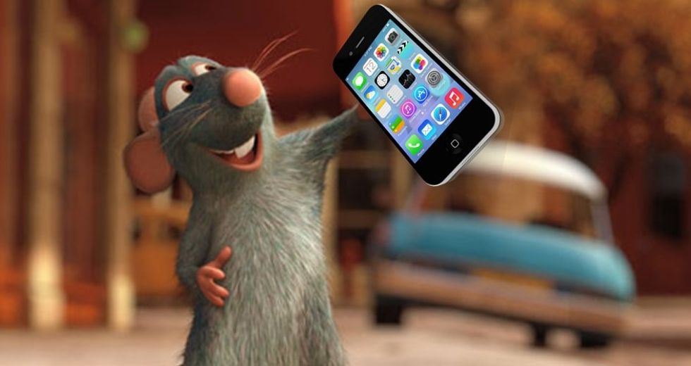 TAKE AWAY THAT CELL PHONE FROM YOUR COMPANION RAT! HURRY! DO IT NOW!