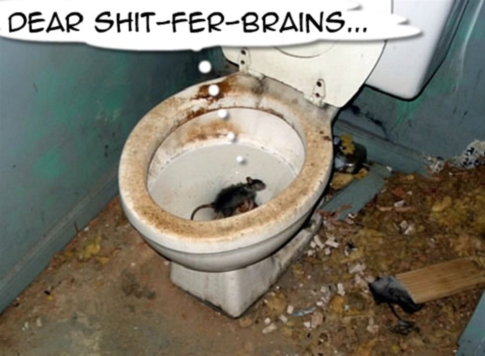Deleted Comments: Why Does Wonkette Want To Throw Democracy Down The Toilet?