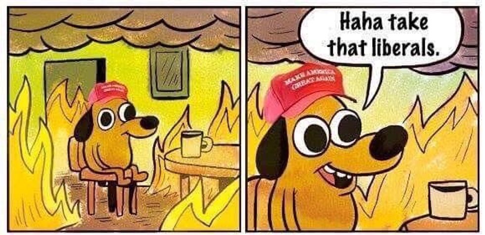 Trump Administration Fuckers Fucking All The Things