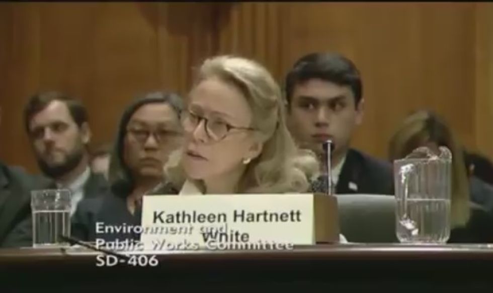 Trump's Nominee For Top WH Environmental Post, Kathleen Hartnett White, Is Dummy
