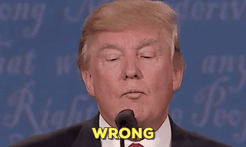 Trump Disproves Dementia Concerns By Shouting 'WALL' At WSJ Reporter For Three Straight Hours