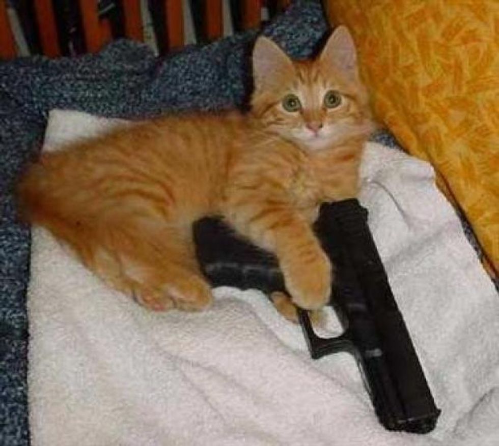 A Responsible Gun Owner Thanksgiving