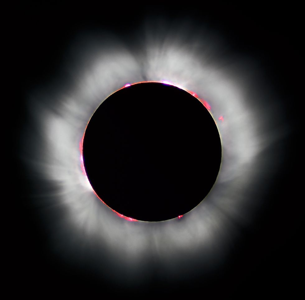 A Long Ass List Of Folks Who SHOULD NOT Look At The Eclipse Today. Dammit, Eric Trump, What's Wrong With You?