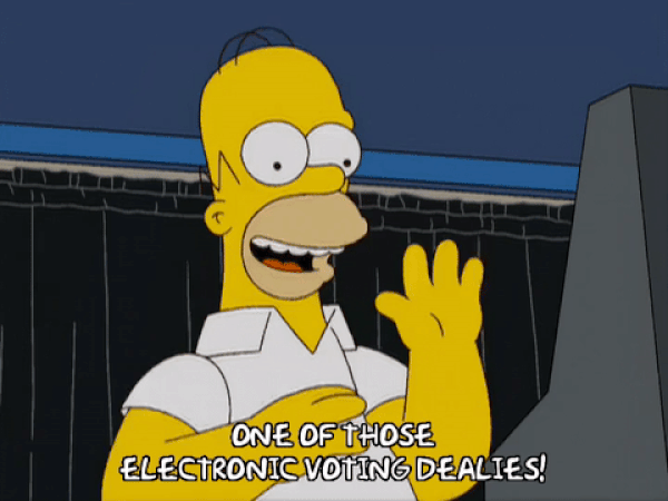 Are Georgia Voting Machines Secure? Frankly, My Dear, They Don't Give a Damn